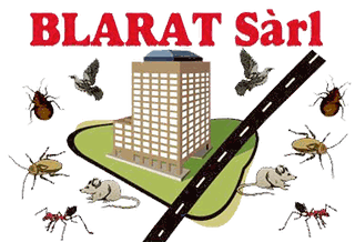 Logo BLARAT Sàrl